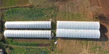 Kocaeli Büyükşehir Belediyesi_sera_destegi3