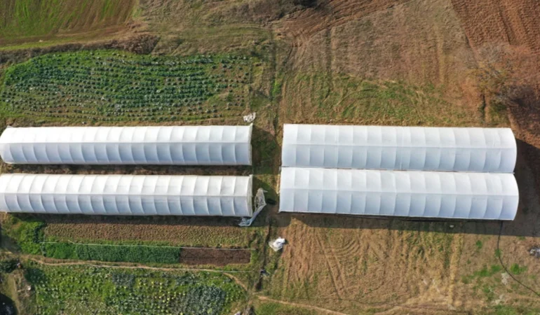 Kocaeli de Seracılık ve Hayvancılık Projelerine Büyük Yatırım