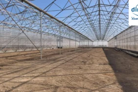 direkçi_group_ırak_sera