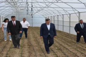 sinop_bel_serayardimi