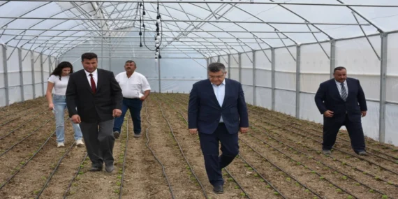 Sinop’ta Çiftçilere 17 Milyon TL’lik %70 Hibeli Tarım Makinesi ve Sera Desteği