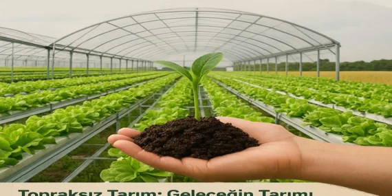 Doğayı Tüketmeden Üretmek Mümkün mü?
