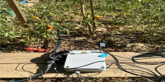BİLGİ’li Öğrencilerden Sürdürülebilir Tarıma Yenilikçi Katkı: Elektronik Kontrollü Damla Sulama Sistemi