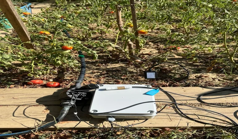 BİLGİ’li Öğrencilerden Sürdürülebilir Tarıma Yenilikçi Katkı: Elektronik Kontrollü Damla Sulama Sistemi