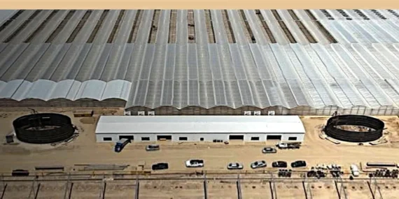 Kozanlar Jeotermal’in Kazakistan’daki Sera Isıtma Sistemleri Mimsan Güvencesinde