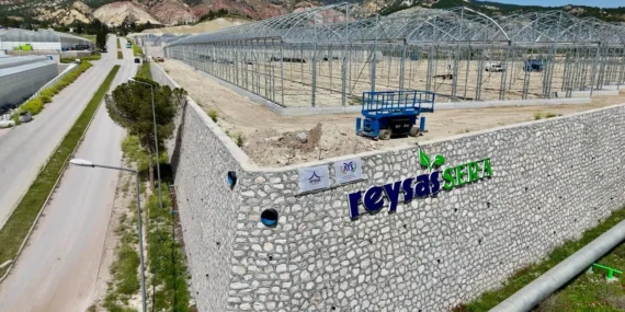 Reysaş Sera’da Üretim Başladı: Yüksek Teknolojiyle Domates Yetiştiriciliğinde Yeni Dönem