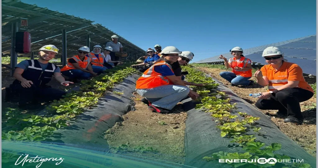 enerjisa_hibrit_ges1