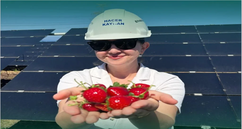 enerjisa_hibrit_ges2