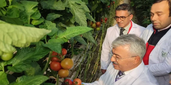 Yediyol Holding, Enerjiden Tarıma Uzanan Sürdürülebilir Döngüyle Gıda Güvenliğini Güçlendiriyor