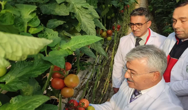 Yediyol Holding, Enerjiden Tarıma Uzanan Sürdürülebilir Döngüyle Gıda Güvenliğini Güçlendiriyor