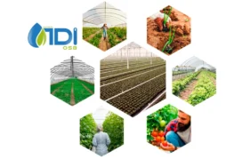 kayseri-tarima-dayali-sera-ihtisas-osb