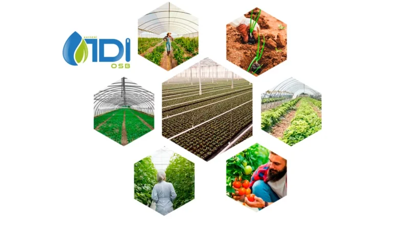 Kayseri TDİOSB Altyapı Yapım İşi İçin İhale Süreci Başladı