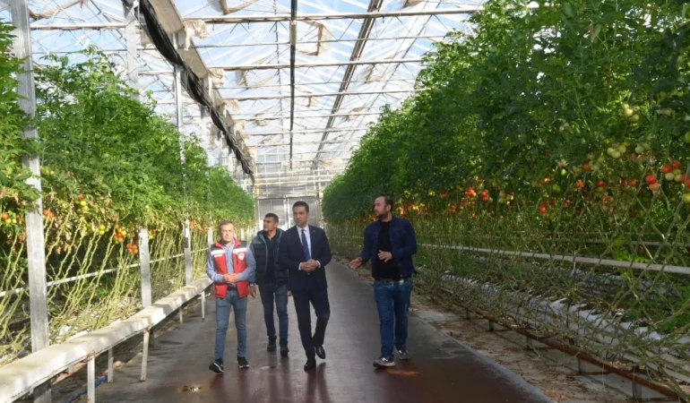 Kozaklı Kaymakamı Savaş, Başyazıcıoğlu Serasını Ziyaret Etti