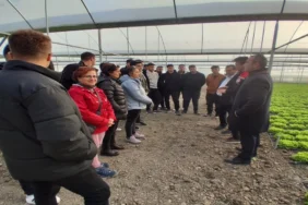 Çorum_Bozok_Uni_Sera_Gezisi