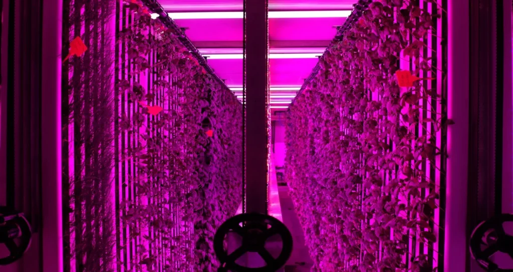 Igsaş_Dikey_Tarim_Konteyner_1