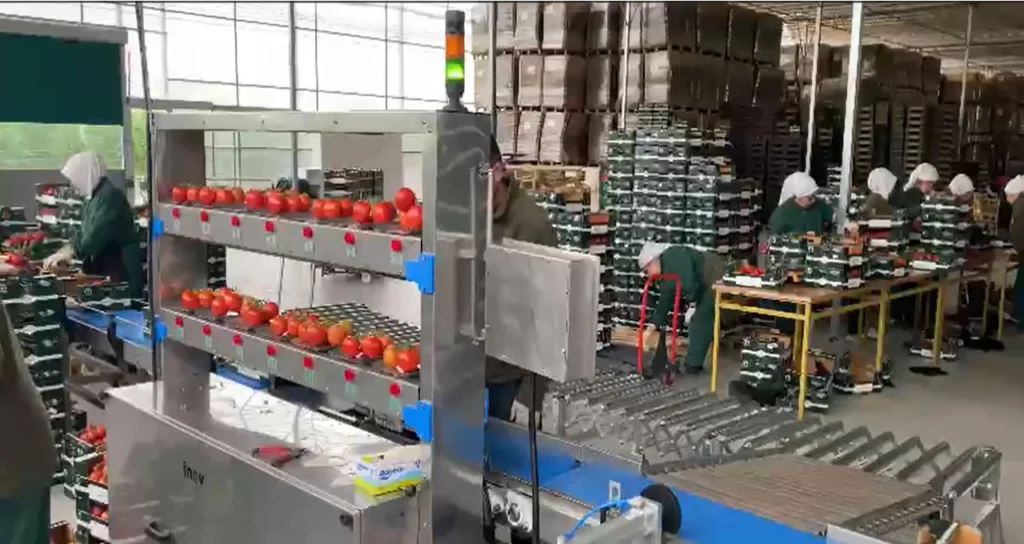 Inovpack_Sera_Tarrım