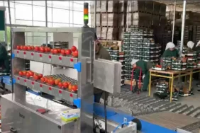 Inovpack_Sera_Tarrım