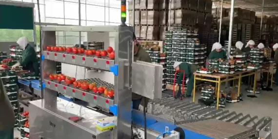 Inovpack’ten Seralara Özel Tartım Teknolojisi