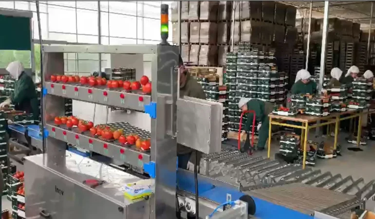 Inovpack’ten Seralara Özel Tartım Teknolojisi