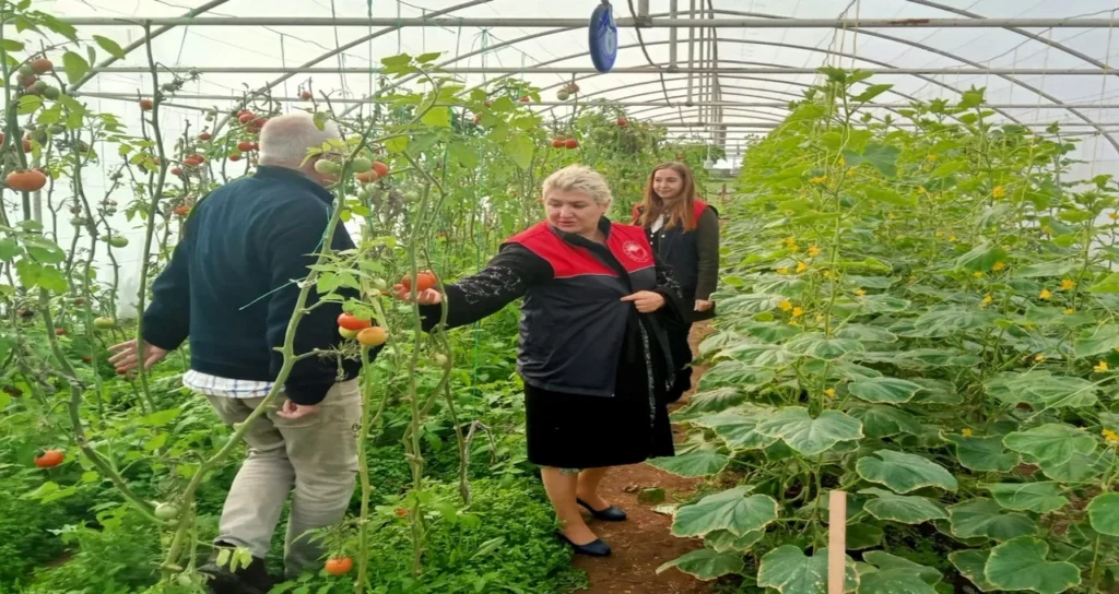 Kırklareli örtüaltı sera ziyaret