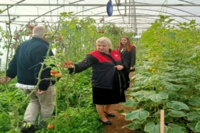 Kırklareli örtüaltı sera ziyaret