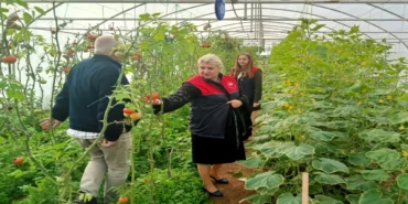 Kırklareli örtüaltı sera ziyaret