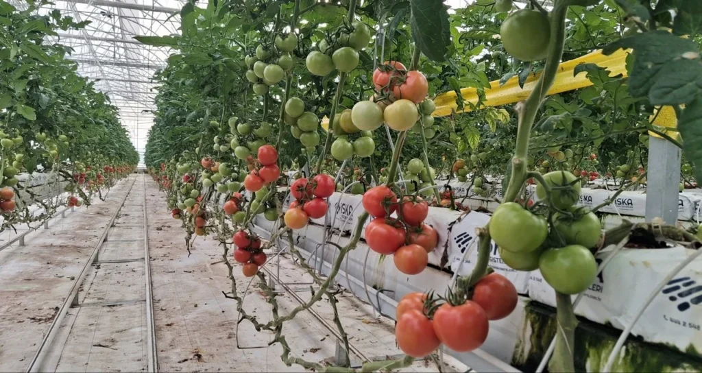 Konya_meram_sera_ziyaret02122025_1