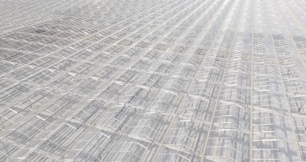 W Yatırım Kayseri Sera6