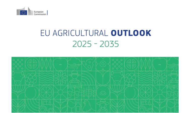 AB Tarım Görünümü Raporu 2035’e Kadar Tarımda Dönüşümü Ortaya Koydu