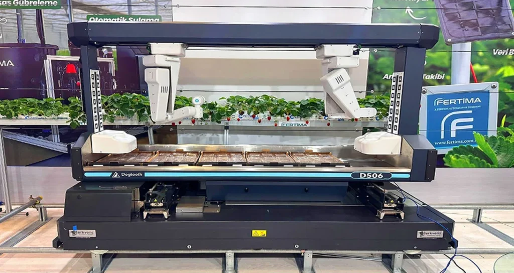 fertima Otomatik Çilek Makinası