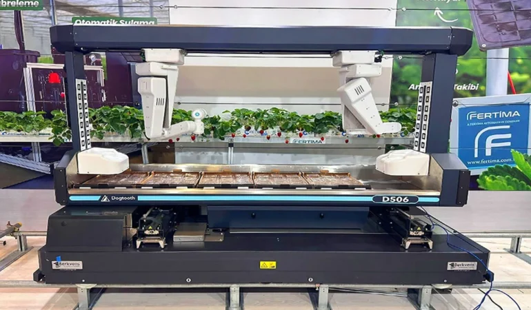 Çilek Hasat Robotu Seralarda Yeni Bir Dönem Başlatıyor