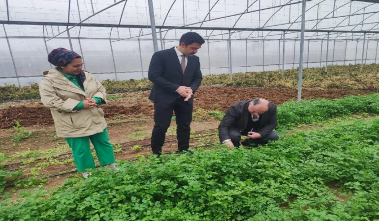 Laçin’de TKDK Destekli Modern Sera Yerinde İncelendi