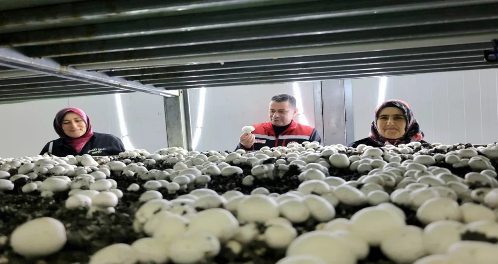 nevşehir_sera_destek3