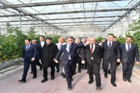 van_çaldıran_jeotermal_sera2