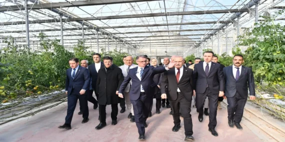 Van Çaldıran Jeotermal Sera Yatırımı Başlıyor