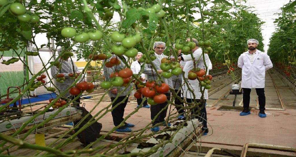 Salihli Kaymakan Onursal Sera Ziyaret