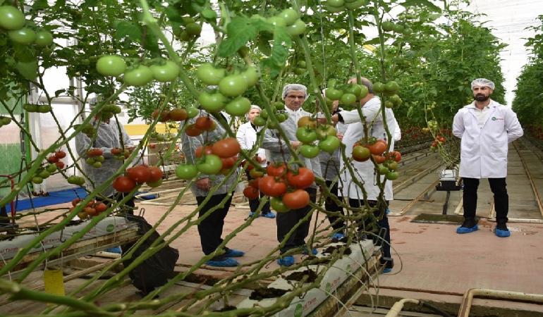 Salihli Kaymakamı Ali Güldoğan’dan Onursal Tarım Sera İşletmesine Ziyaret