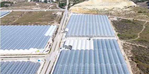 Reysaş Holding Jeotermal Isıtmalı Topraksız Domates Serası Tamamlandı