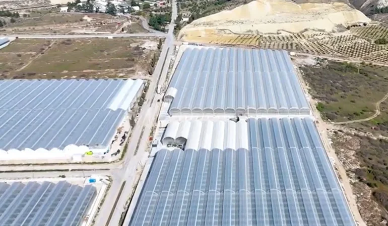 Reysaş Holding Jeotermal Isıtmalı Topraksız Domates Serası Tamamlandı