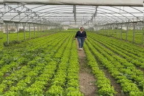 vitamin_tarım_bursa2 (1)