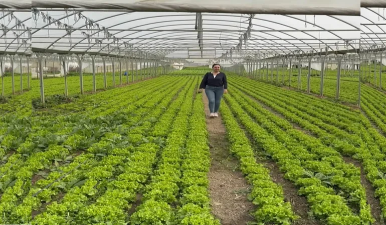 Grup Vitamin Tarım, Bursa Orhangazi’de Sera ve Açık Tarım Alanlarında Üretimi Yerinde İnceledi