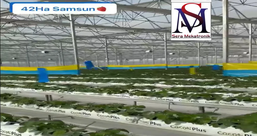 Sera Mekatronik_Bafra