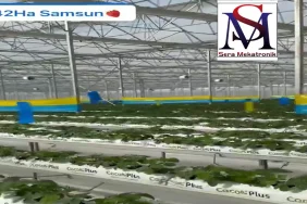 Sera Mekatronik_Bafra