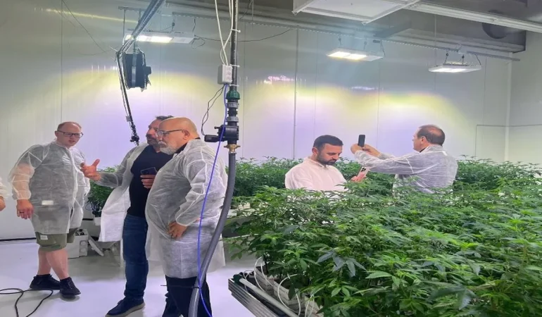 Soivera, Süperkritik CO2 Ekstraksiyon ile CBD Üretiminde Küresel Hedefe Yürüyor