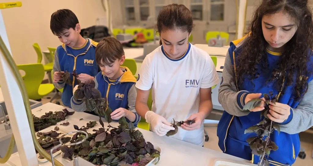 Bitkilierin_gelisimi_ve_kontrol__3