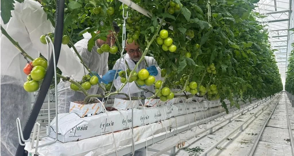 W_agro_Cahid_Cingi_ziyaret2