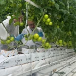 W_agro_Cahid_Cingi_ziyaret2