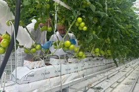 W_agro_Cahid_Cingi_ziyaret2