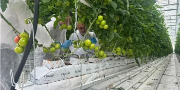 W_agro_Cahid_Cingi_ziyaret2