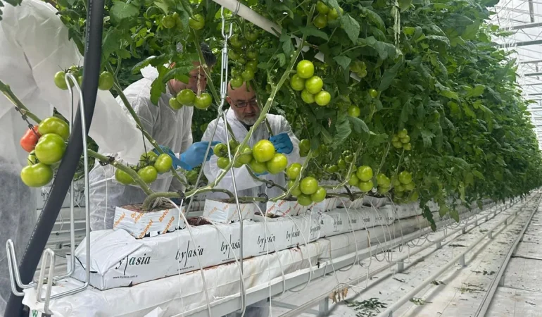 Elmalı’da Yüksek Teknolojili Sera Yatırımı Dikkat Çekiyor